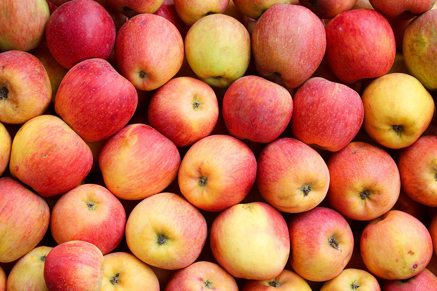 File of apples