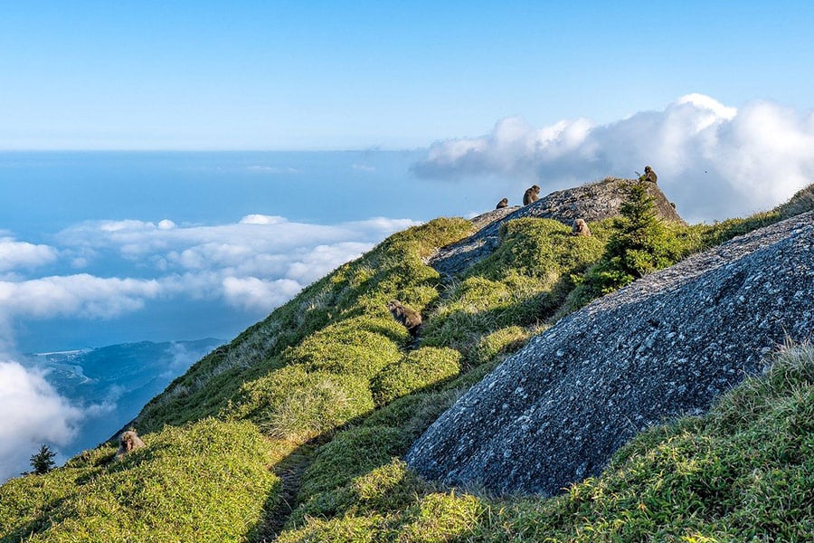 Mountain landscape coastline Nagata community