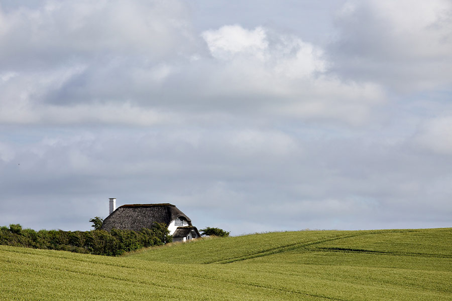 House meadow fields landscape