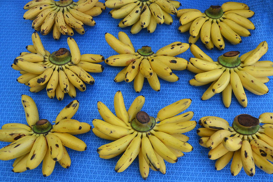 Bananas