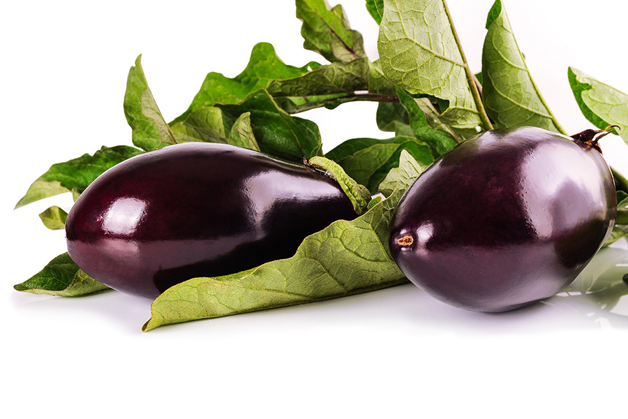 Harvest eggplant vegetables