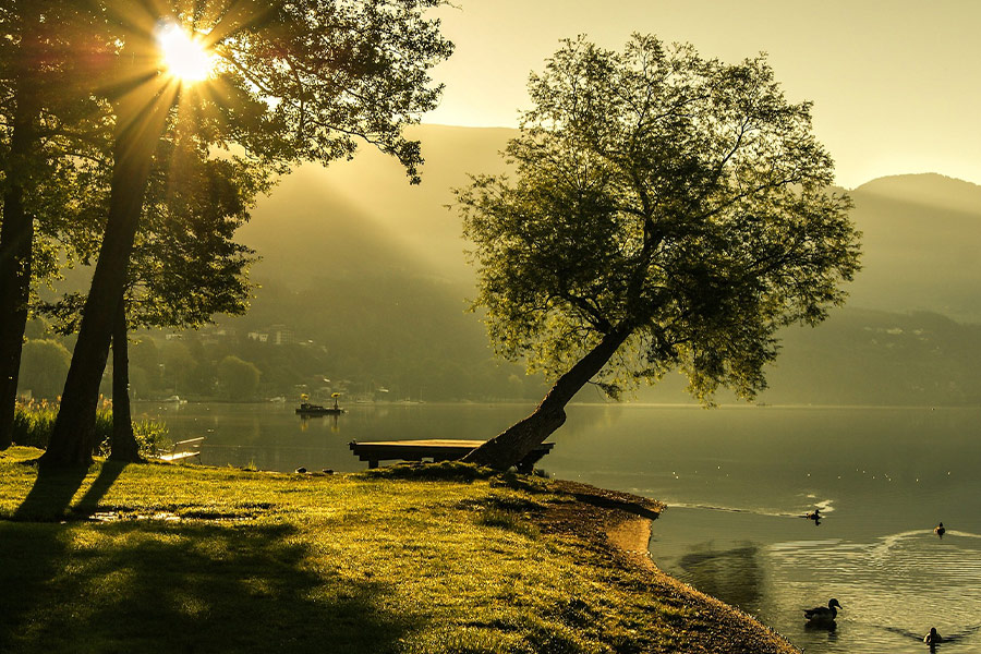 Summer landscape sunrise mood