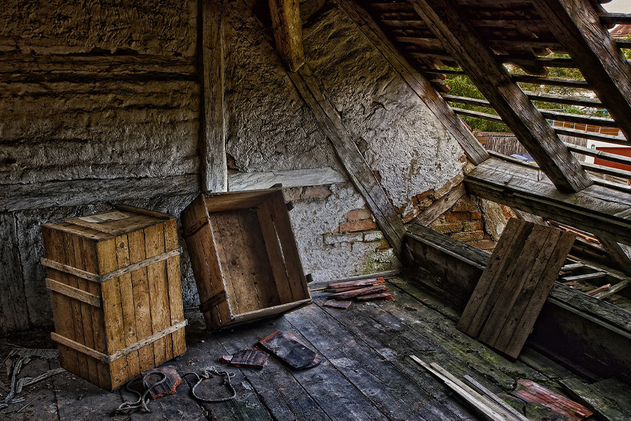 Ruin decay lumber