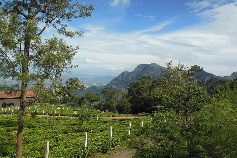 Beautiful scenery sky and landscape