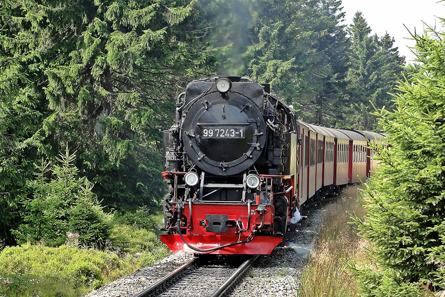 Locomotor train