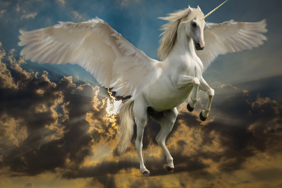 Fictional unicorn