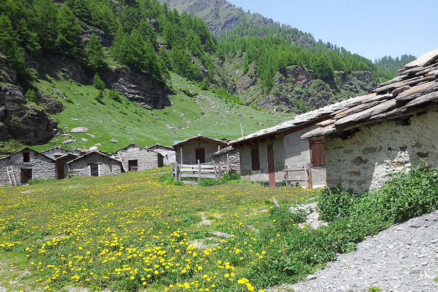 Baita Mountain cabins