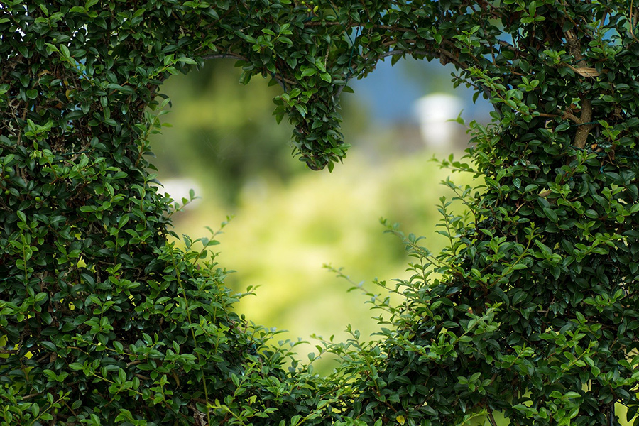 Love heart