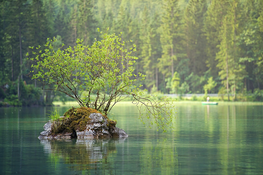 Flow water nature forest