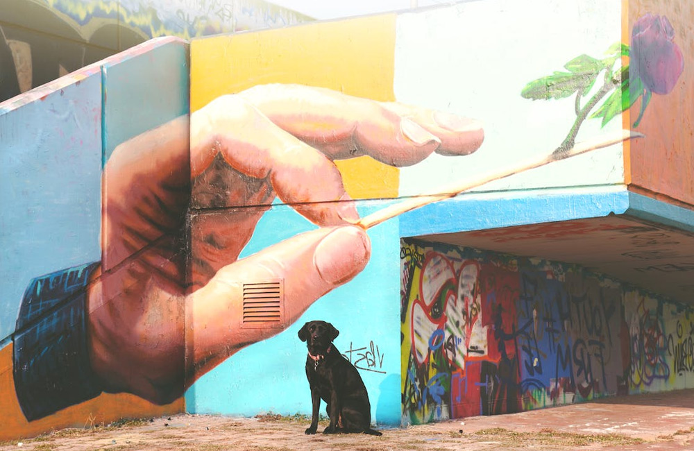 Graffiti art