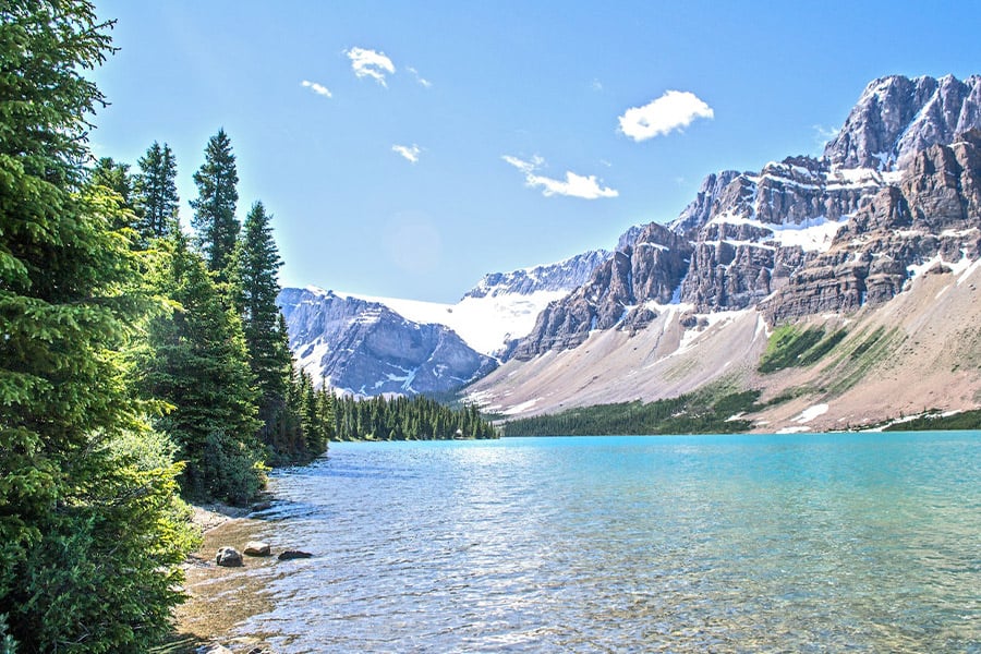 Trees mountains and water