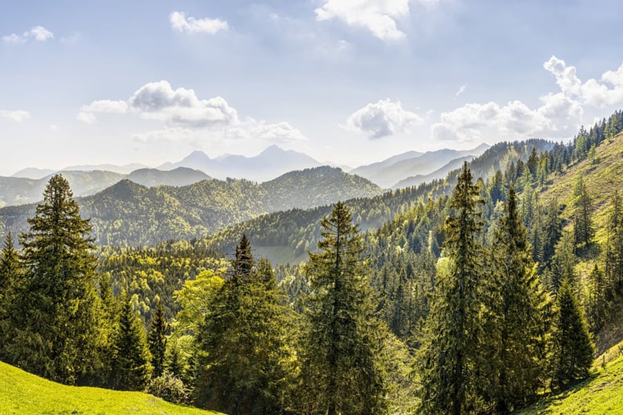 Beautiful Alpine nature landscape