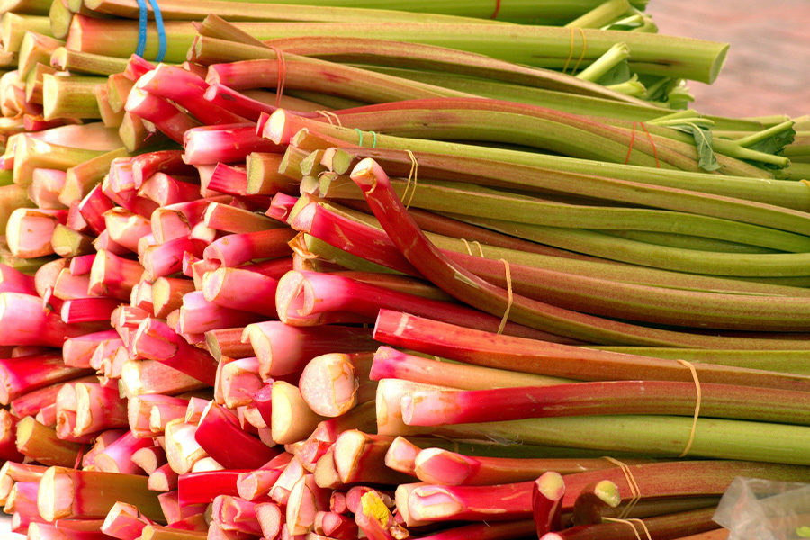 Fresh rhubarb food