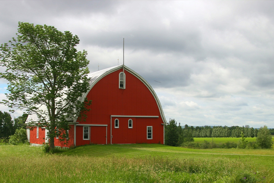 Orange wooden barn sorrounded with trees