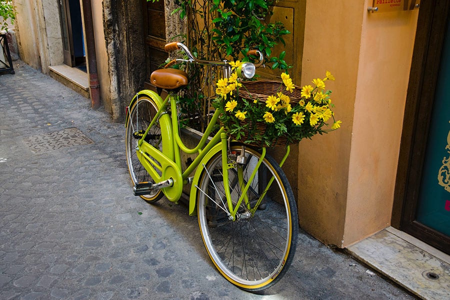 Green cruiser beach bike