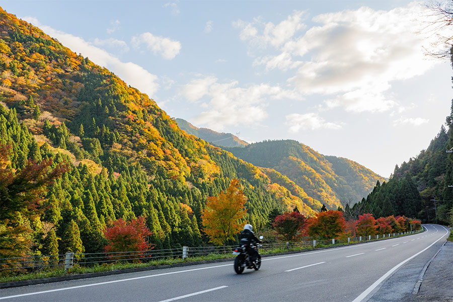 Motorcycle running the road facing autumnal mountains