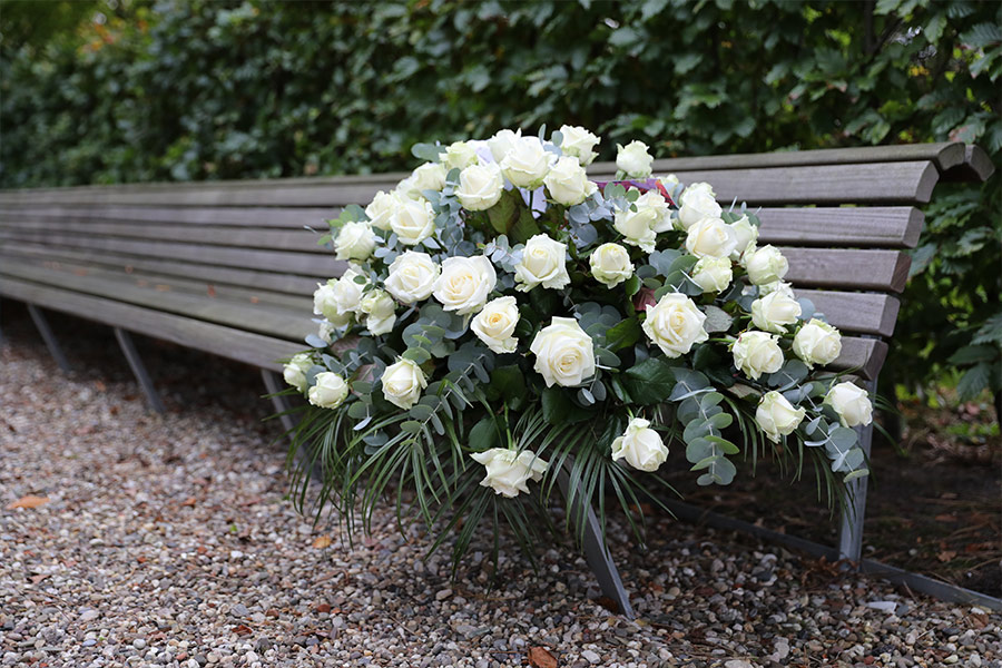 White rose on bench
