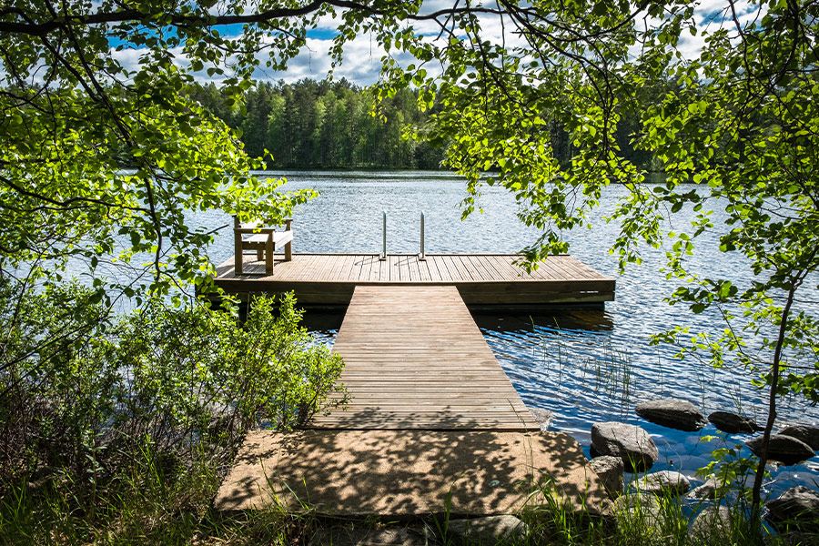 Lake surround green nature