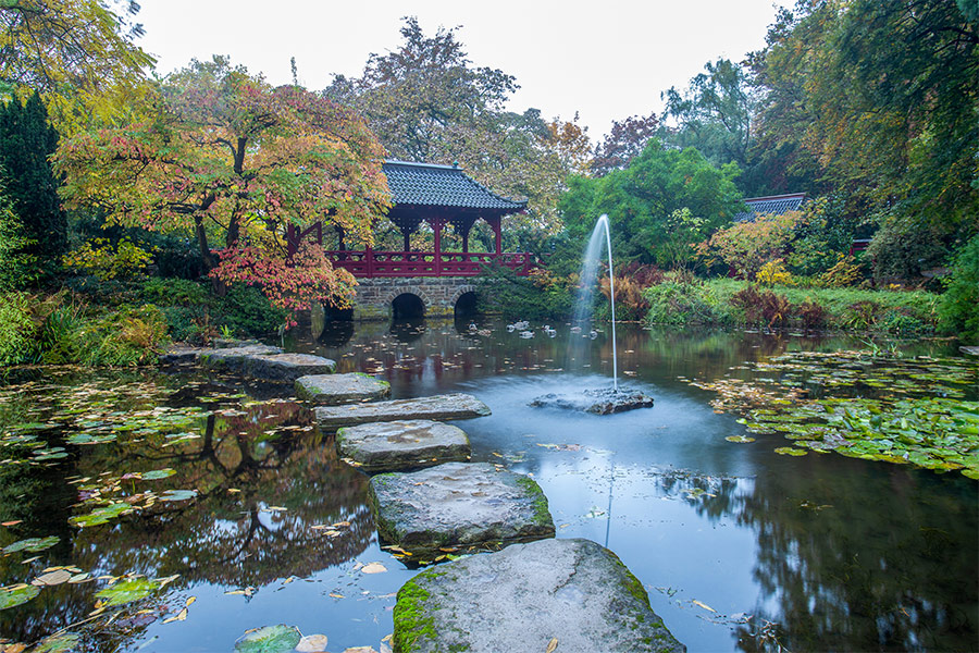 Idyllic autumn landscape with pond and footpath