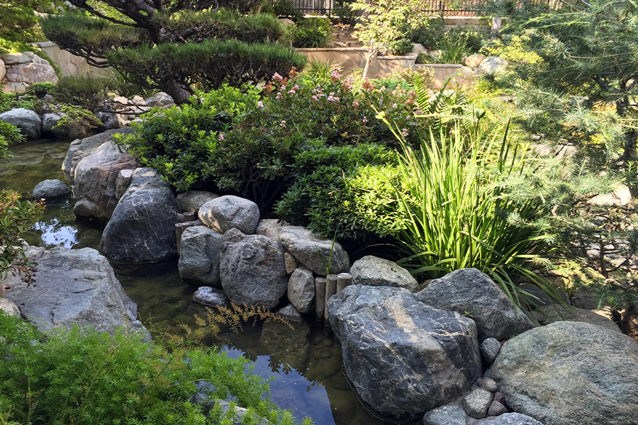 Zen Japanese garden