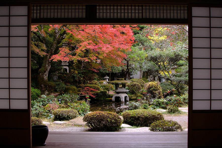 Japanese garden wallpaper