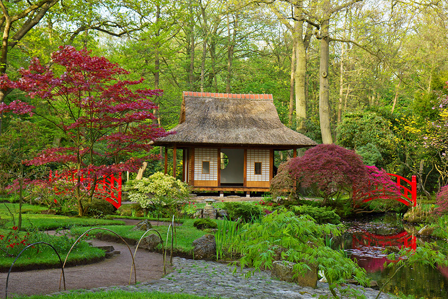 Traditional japanese garden