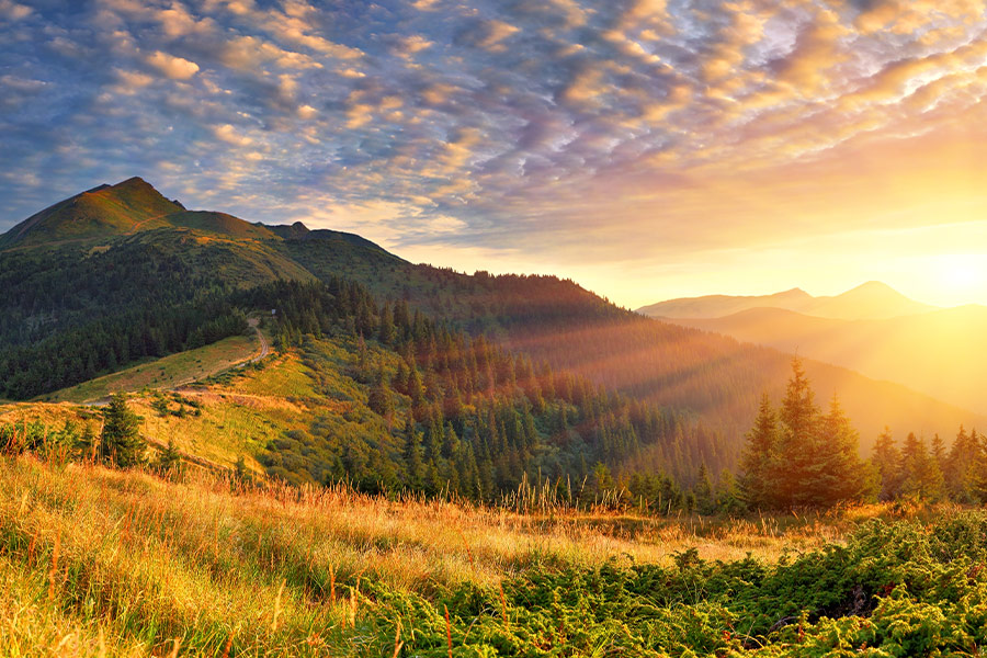 Freshness background