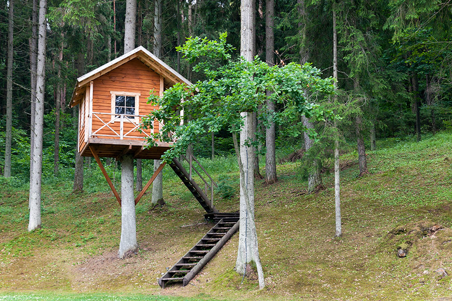 Remote wooden tree house forest