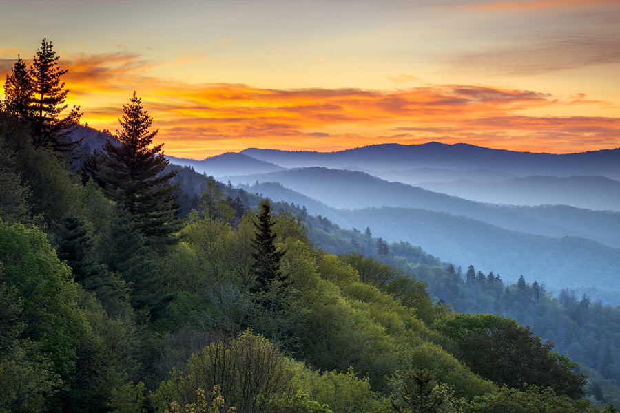 Great smoky mountains national park