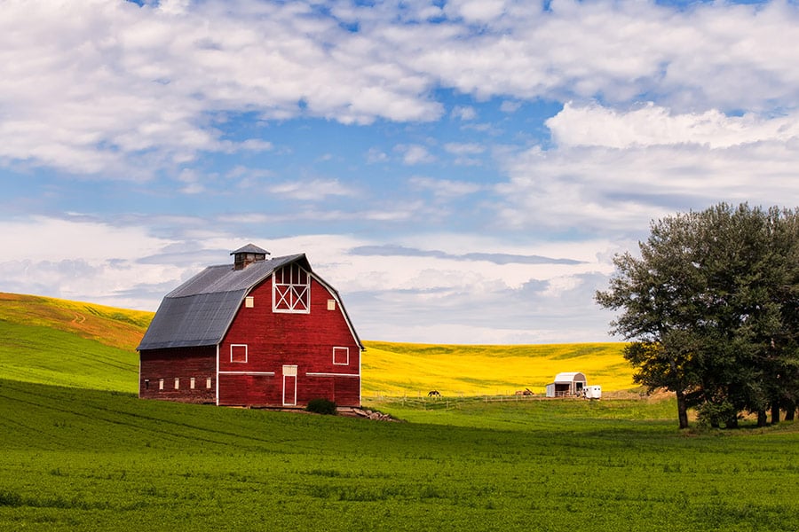Red barn and canola field Palouse