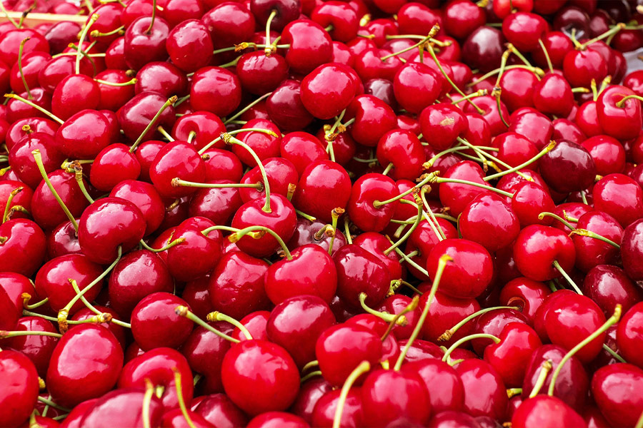 Fruity sweet cherries