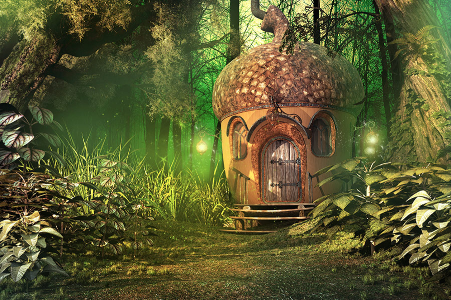 Deep forest scenery fairy house trees and plants