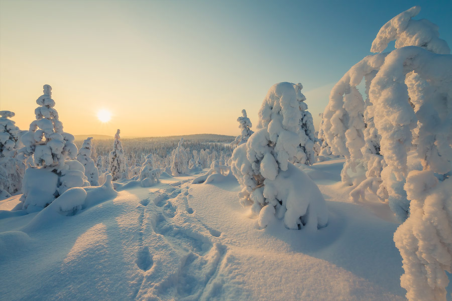 Winter landscape with snowshoes track