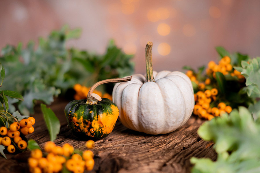 Pumpkins white yellow