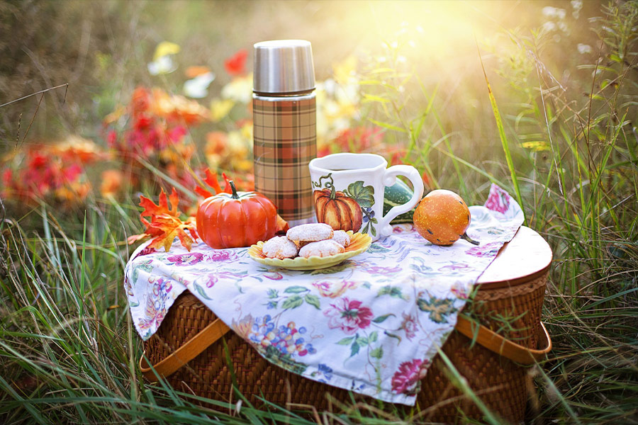 Fall tea time picnic