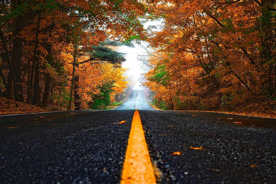 Autumn street lane view