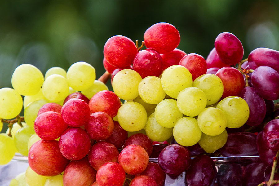 Fresh grapes fruit