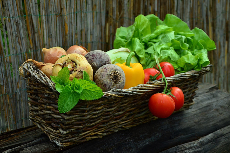 Harvest basket vegetables