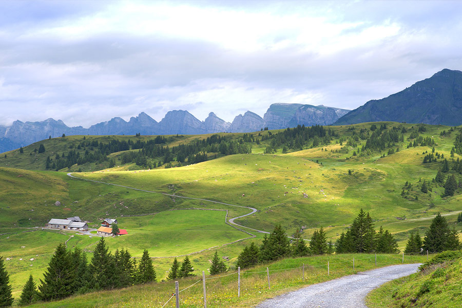 Country side landscape
