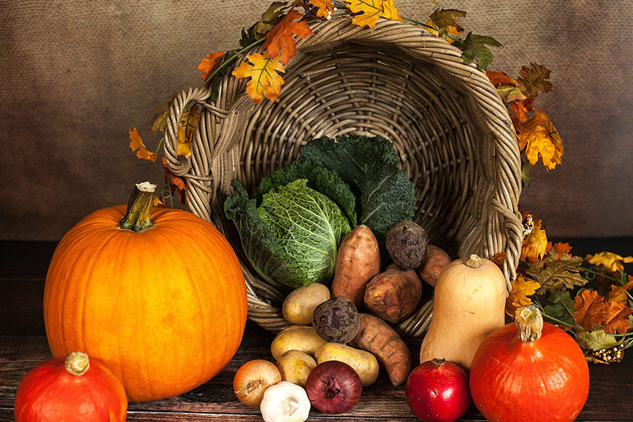 Autumn vegetables pumpkin