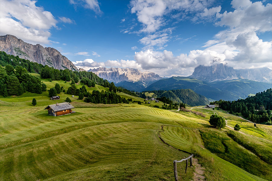 Green grass field and trees under blue sky