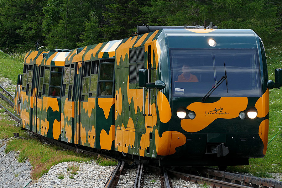 Salamander snow mountain railway train