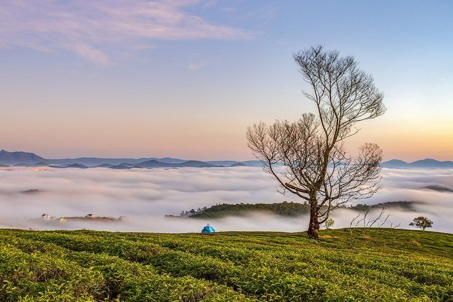 Morning fog beautiful scenery