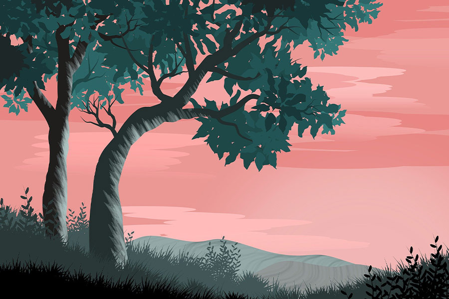 Sophia de mello breyner andresen tree