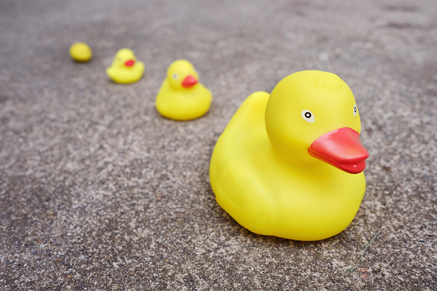 Rubber ducklings toys