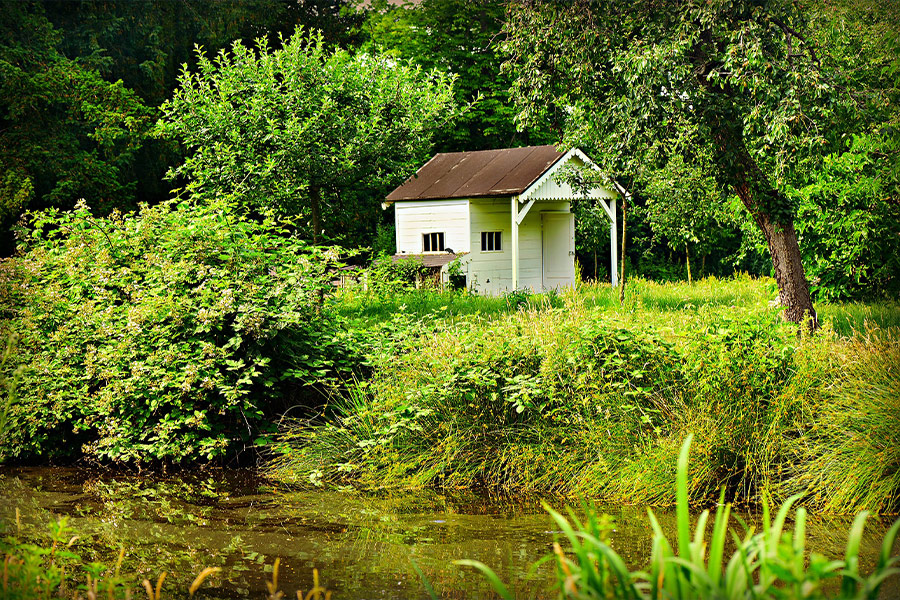 Small white cottage in nature