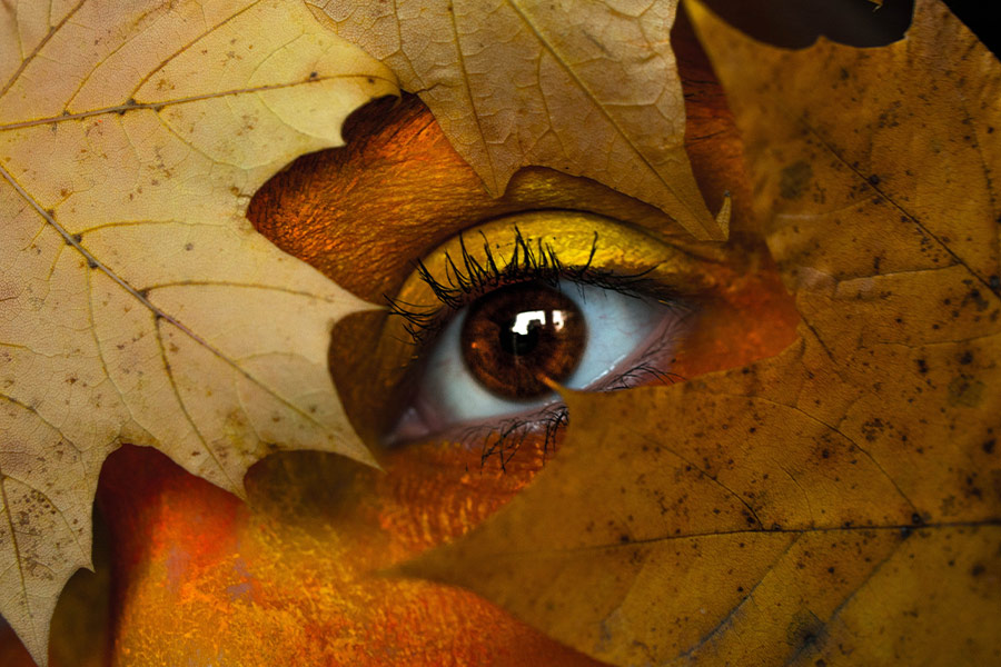 Eye photography with leaves