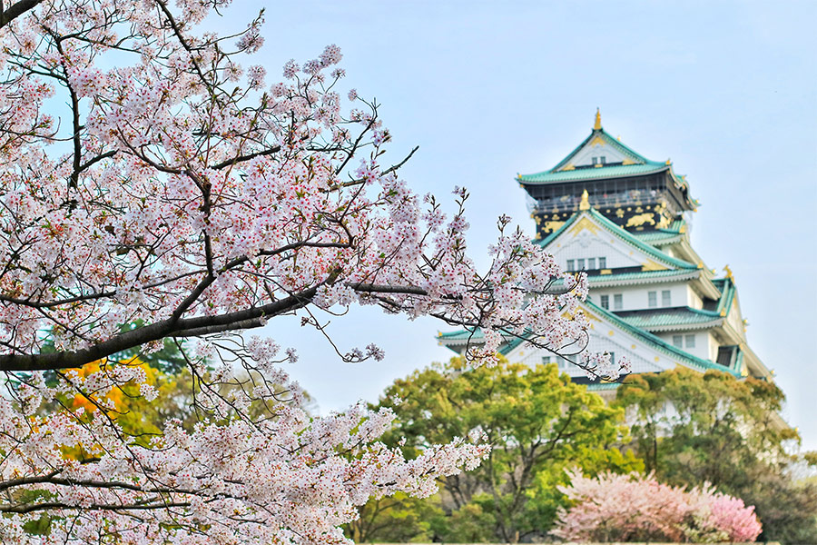 Osaka castle park