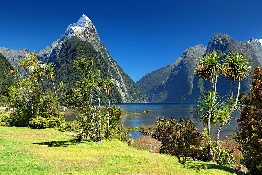 Milford sound nature