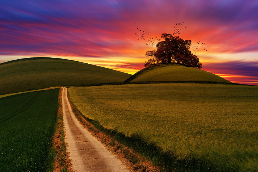 Beautiful landscape nature